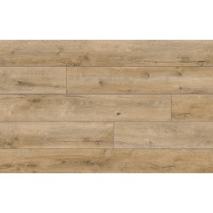 TREND AQUA protect 4V 56620 DUB BAIKAL 52607
